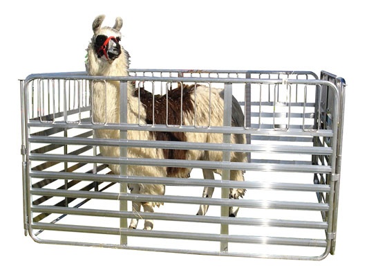 Alloy Alpaca Gates